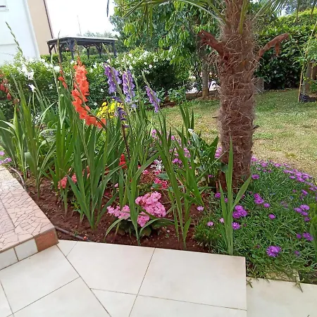 Apartment Bluegum *